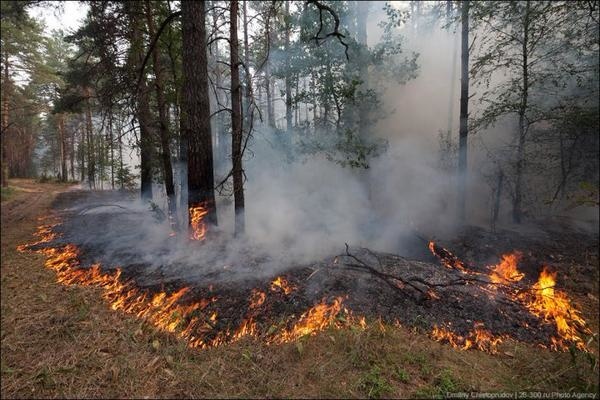 Консультация по высокой пожароопасности (4 класс).